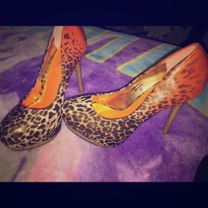 Wild Rose leopard print heals